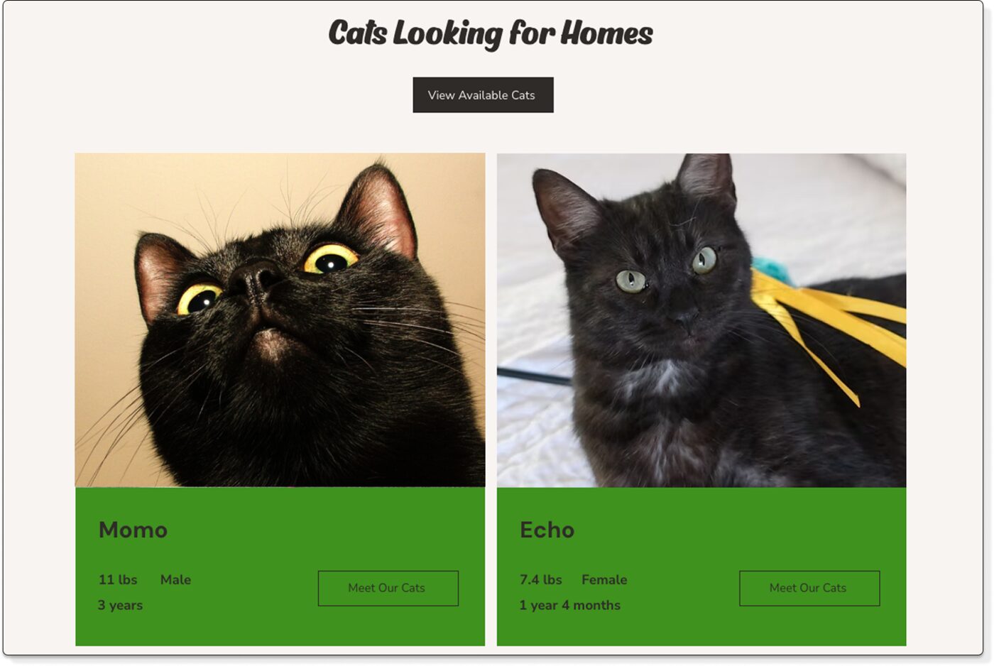 Cats looking for homes page