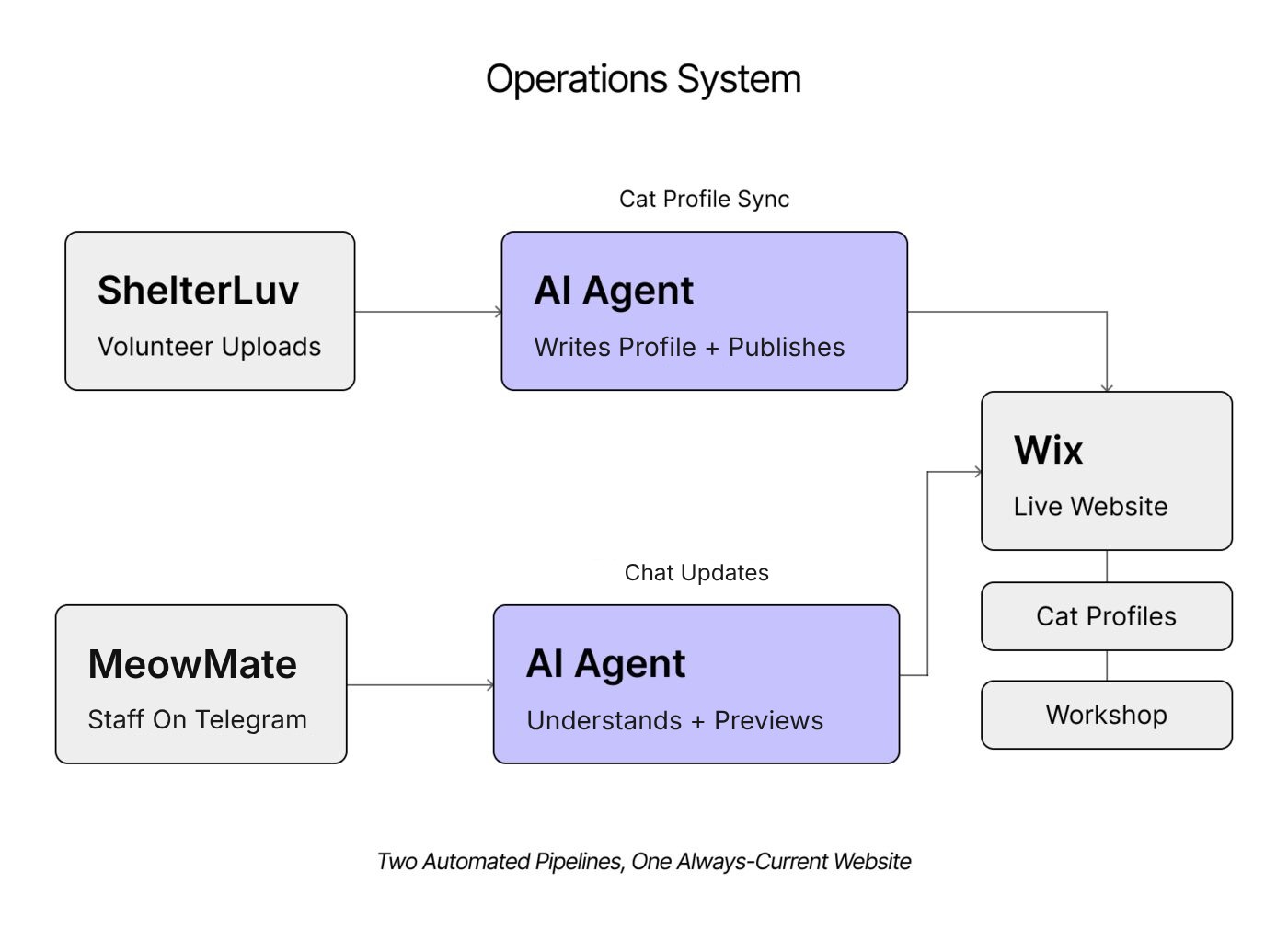 System overview of both pipelines feeding the website